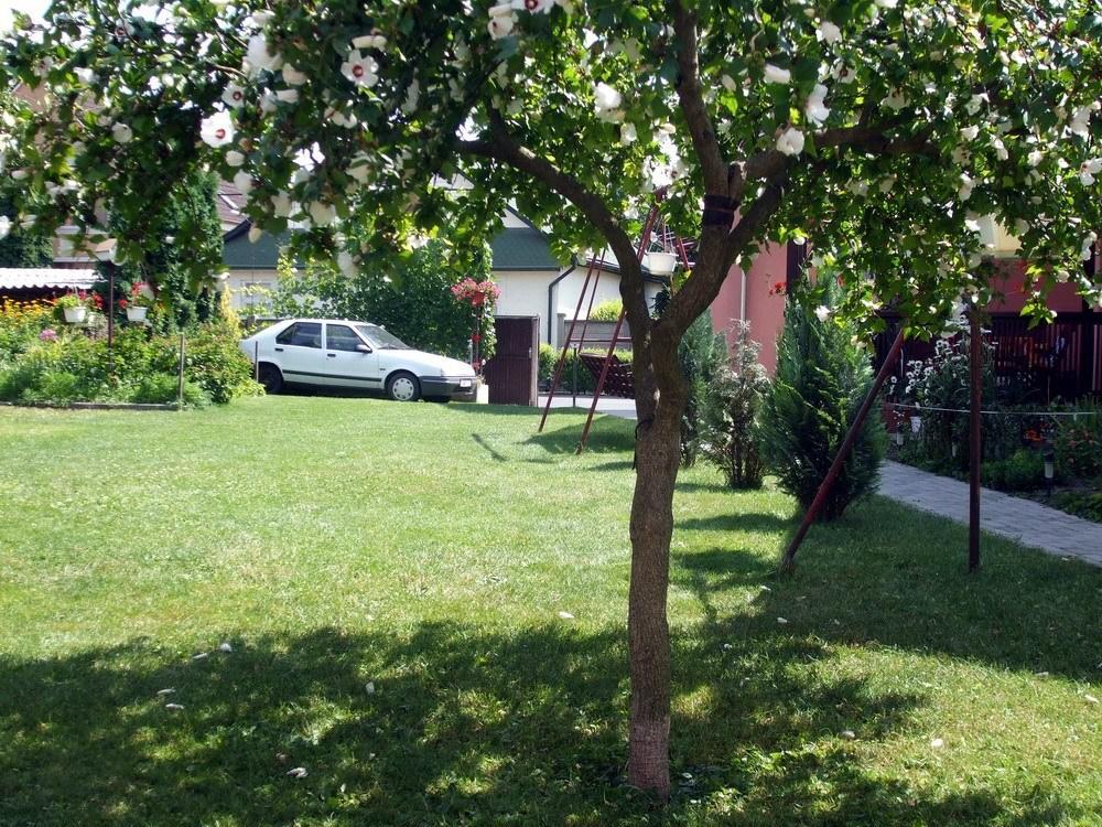 Lugas Szallas Jászberény Exteriér fotografie