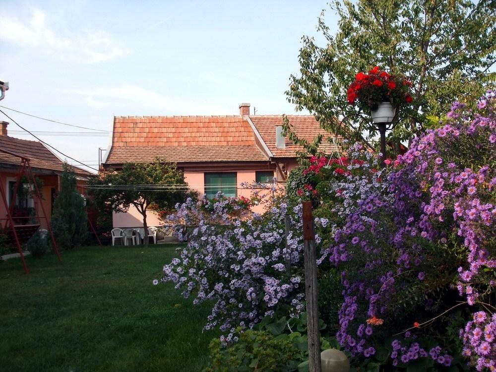 Lugas Szallas Jászberény Exteriér fotografie